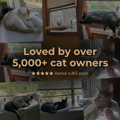 SunNap™ Window Perch — Folding Cat Hammock