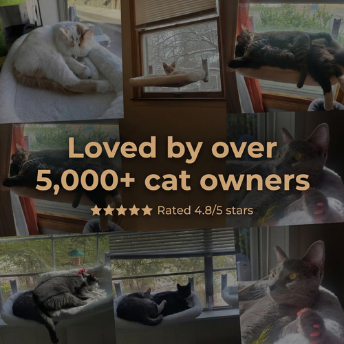SunNap™ Window Perch — Folding Cat Hammock