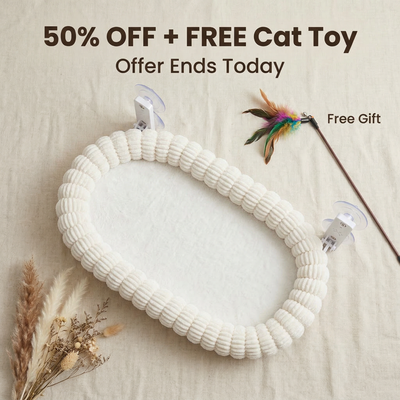 SunNap™ Window Perch — Folding Cat Hammock