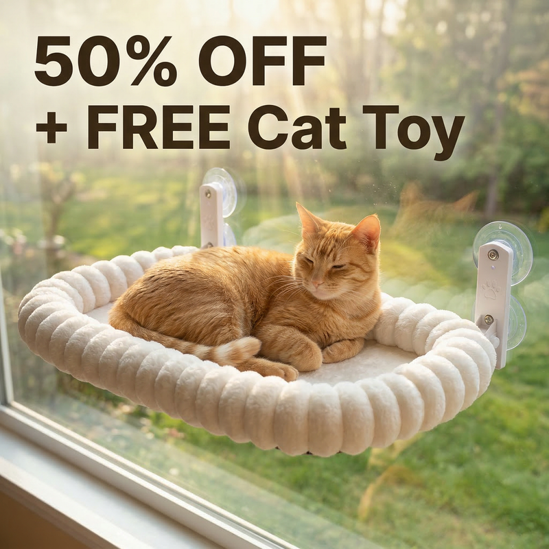 This Product Solves This Need